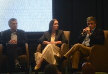 El PRO se Desmarca: Apoyo en Congreso y Candidato Propio en 2027