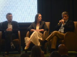 El PRO se Desmarca: Apoyo en Congreso y Candidato Propio en 2027