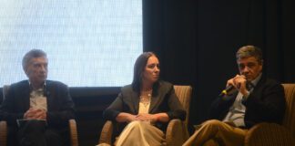 El PRO se Desmarca: Apoyo en Congreso y Candidato Propio en 2027