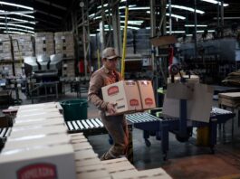 Fondo de Indemnizaciones: Clave para Despidos y Juicios Laborales en Argentina