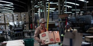 Fondo de Indemnizaciones: Clave para Despidos y Juicios Laborales en Argentina