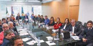 Mapa Político Actual: Milei Capitaliza Crisis en Gobernadores Provinciales