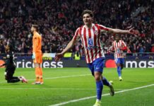 Comparativa de Goles: Champions League vs Copa Libertadores 2023