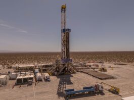 Crisis Económica en Argentina: Impacto de Políticas Proteccionistas