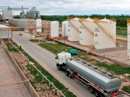 Argentina Defiende el Biodiésel: Documento Clave ante la UE en Bruselas