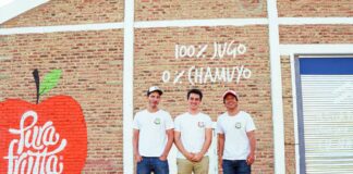 Certificación B: Pymes Argentinas Acceden al Mercado Europeo Fácilmente