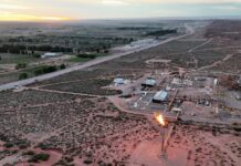 Crisis Laboral: Cuatro Provincias Crean Empleo en Argentina en Enero