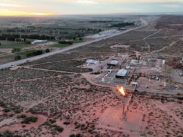 Crisis Laboral: Cuatro Provincias Crean Empleo en Argentina en Enero