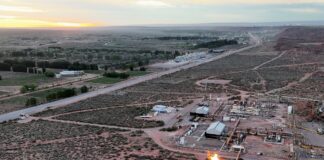 Crisis Laboral: Cuatro Provincias Crean Empleo en Argentina en Enero