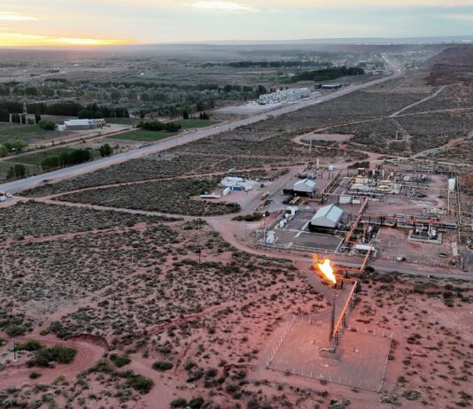 Crisis Laboral: Cuatro Provincias Crean Empleo en Argentina en Enero