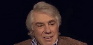 De Vender Sangre a Multimillonario: El Impacto de David Walentas en Brooklyn