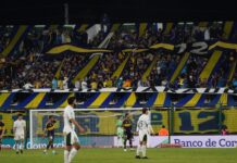 Impacto Económico de Entradas VIP en los Estadios de Argentina