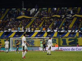 Impacto Económico de Entradas VIP en los Estadios de Argentina