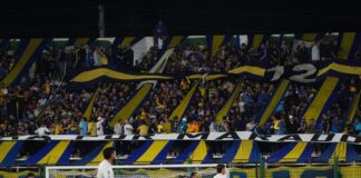 Impacto Económico de Entradas VIP en los Estadios de Argentina