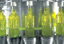 Récord en Molienda de Girasol en Marzo: Auge de la Industria Argentina