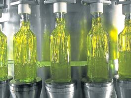 Récord en Molienda de Girasol en Marzo: Auge de la Industria Argentina