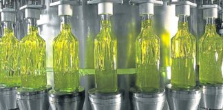 Récord en Molienda de Girasol en Marzo: Auge de la Industria Argentina