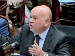 Martín Menem vs Diputado Kirchnerista: Debate y Tensión en el Congreso