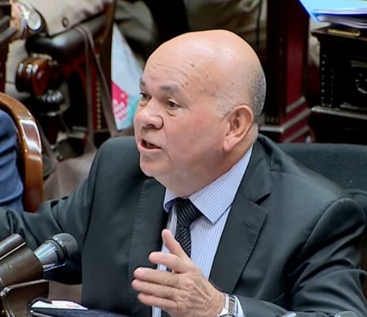 Martín Menem vs Diputado Kirchnerista: Debate y Tensión en el Congreso
