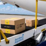 Mercado Libre y Aerolíneas: Envíos exprés en La Patagonia