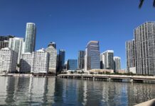 Migración empresarial: Texas y Florida eclipsan a California y Nueva York