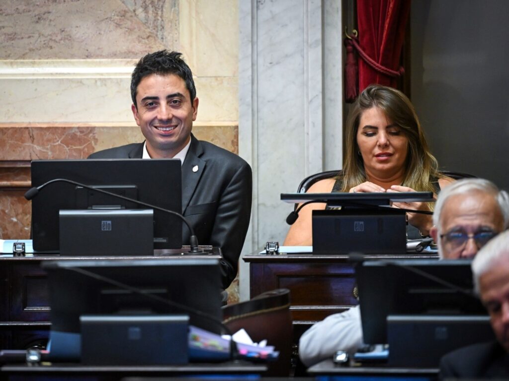 Senado Argentino: Reactivación de Obras Públicas para Impulso Económico