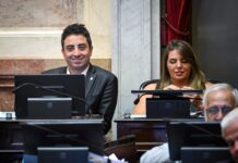 Senado Argentino: Reactivación de Obras Públicas para Impulso Económico