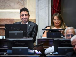 Senado Argentino: Reactivación de Obras Públicas para Impulso Económico