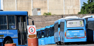 Crisis del Transporte Público del Interior: Subsidios Insuficientes