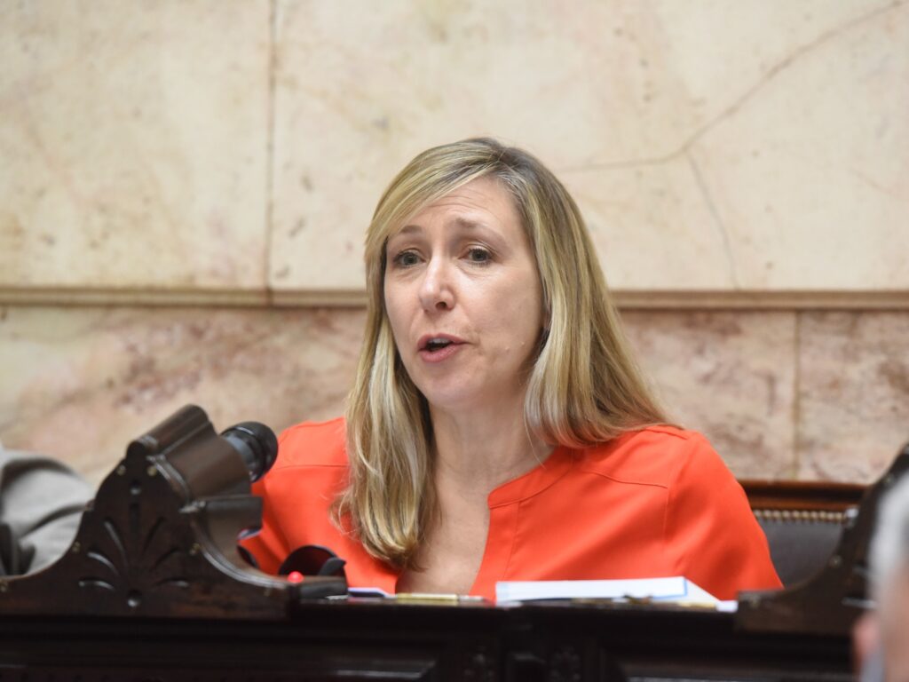 Cruces en Diputados: Kirchnerismo vs Oposición en Tensa Sesión