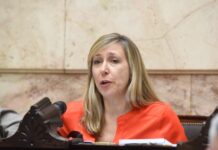 Cruces en Diputados: Kirchnerismo vs Oposición en Tensa Sesión