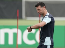 Pedro Troglio: El Desafío de Argentina ante Austria en el Mundial