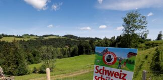 Suiza decide: No a la propuesta para limitar la inmigración en referéndum
