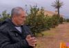 Desigualdad salarial impacta al sector agrícola español frente a Egipto