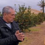 Desigualdad salarial impacta al sector agrícola español frente a Egipto