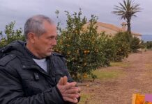 Desigualdad salarial impacta al sector agrícola español frente a Egipto