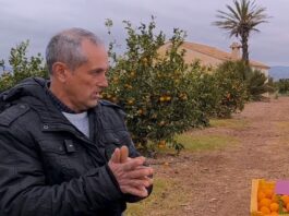 Desigualdad salarial impacta al sector agrícola español frente a Egipto