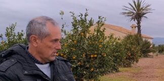 Desigualdad salarial impacta al sector agrícola español frente a Egipto