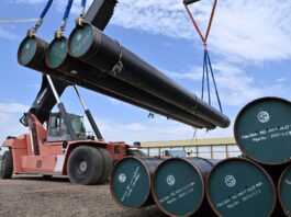 YPF Lanza Licitación en Vaca Muerta: Techint Busca Segundas Oportunidades
