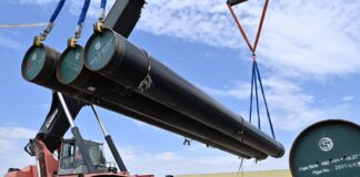 YPF Lanza Licitación en Vaca Muerta: Techint Busca Segundas Oportunidades