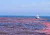 Ensayo Pionero: Impacto del Hidróxido de Sodio en el Golfo de Maine