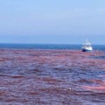 Ensayo Pionero: Impacto del Hidróxido de Sodio en el Golfo de Maine