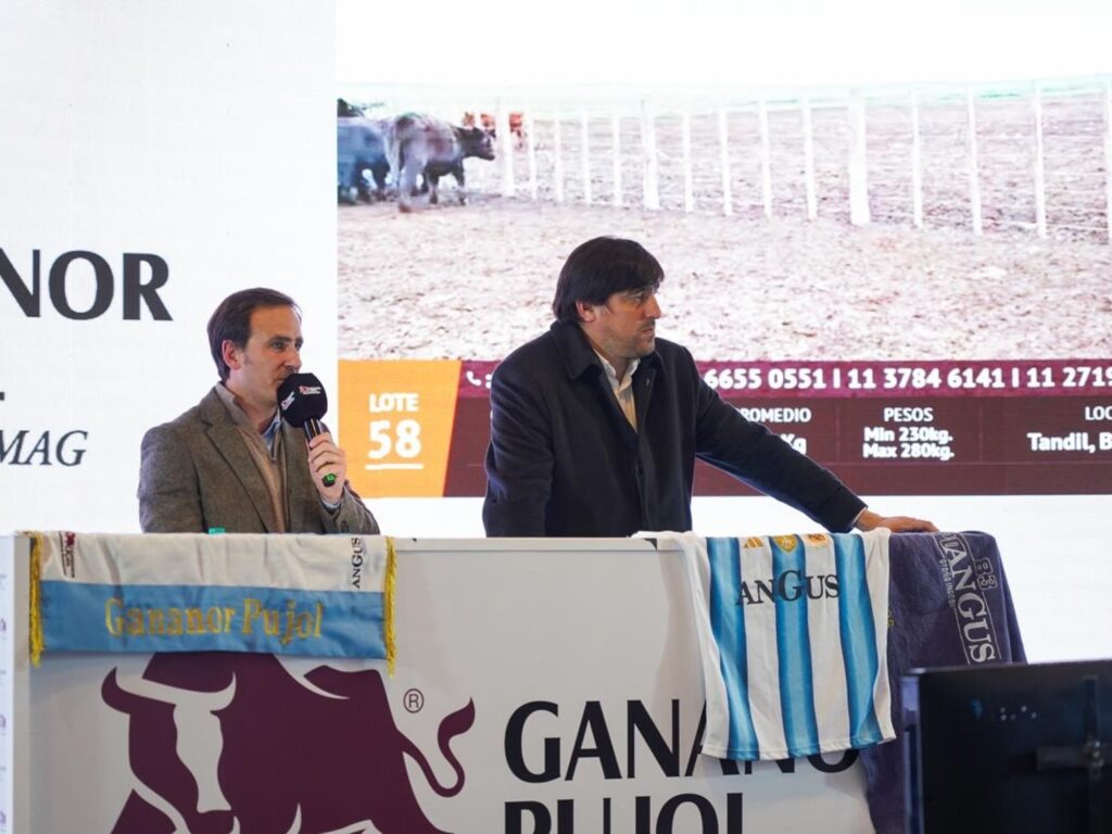 Gran Remate Ganadero en Torre Galicia: Más de 12.000 Cabezas a Subasta