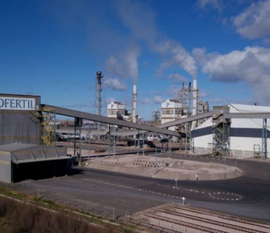 Profertil Capta Financiamiento Récord de US$ 90,3M en ON Clase IV