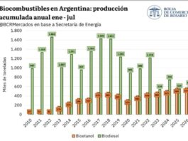 Etanol en alza: Biodiésel en crisis en el panorama energético argentino